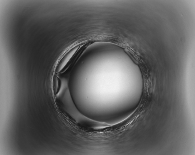 X0000097870244200803211320