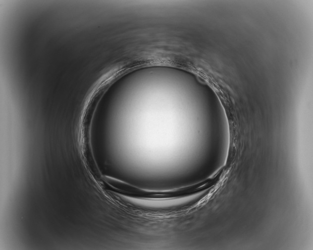 X0000097870245200803211320