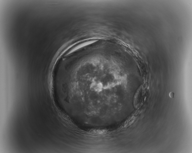 X0000097870247200803211320