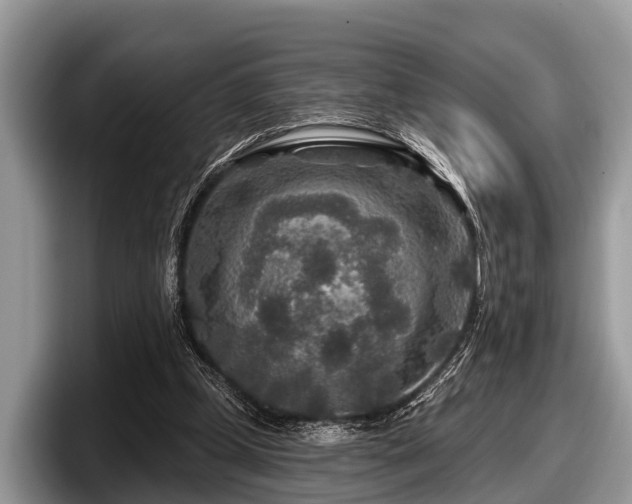 X0000097870249200803211320