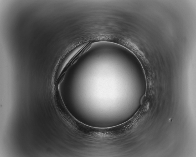 X0000097870250200803211320