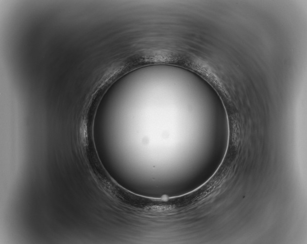 X0000097870251200803211320