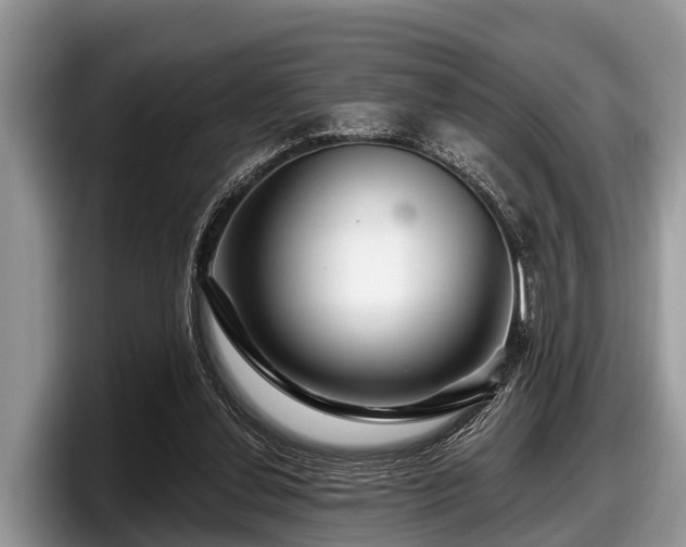 X0000097870252200803211320