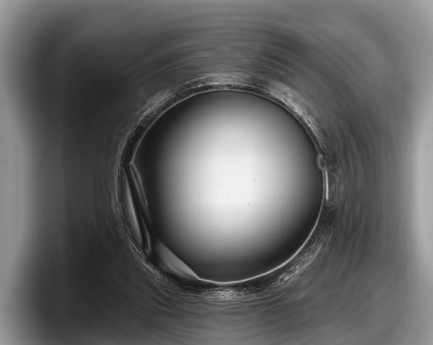 X0000097870253200803211320