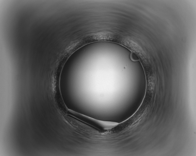 X0000097870255200803211320
