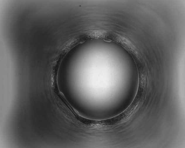 X0000097870259200803211320