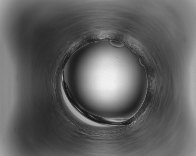 X0000097870260200803211320