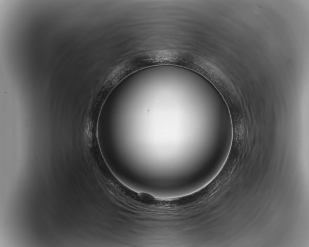 X0000097870264200803211320