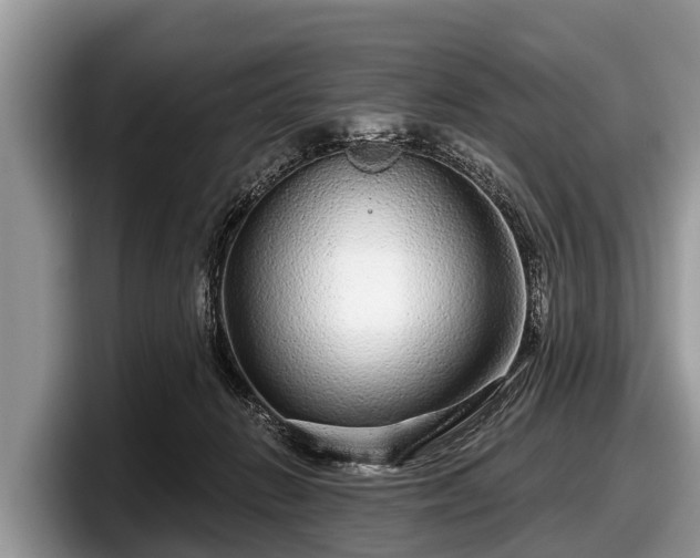 X0000097870270200803211320