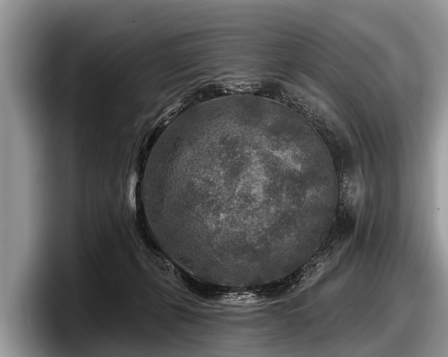 X0000097870271200803211320