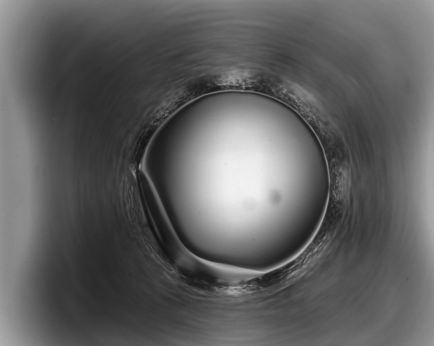 X0000097870273200803211320