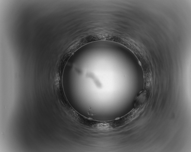 X0000097870279200803211320