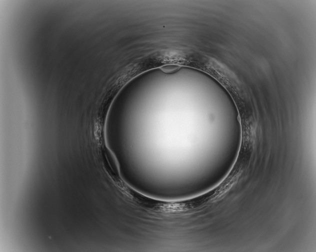 X0000097870281200803211320