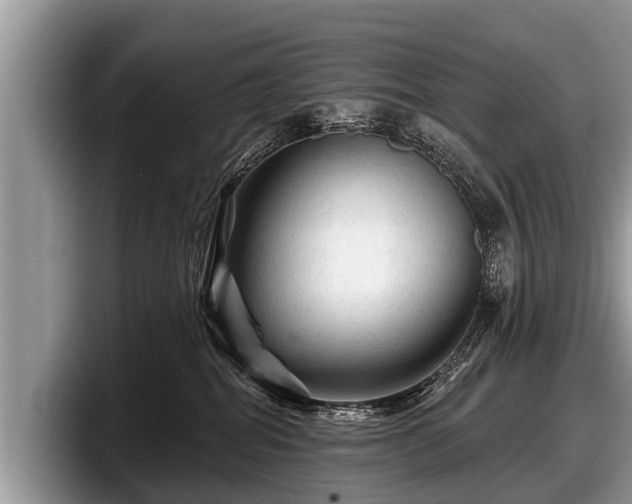 X0000097870282200803211320