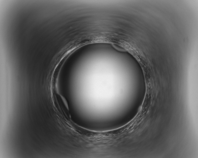 X0000097870290200803211320