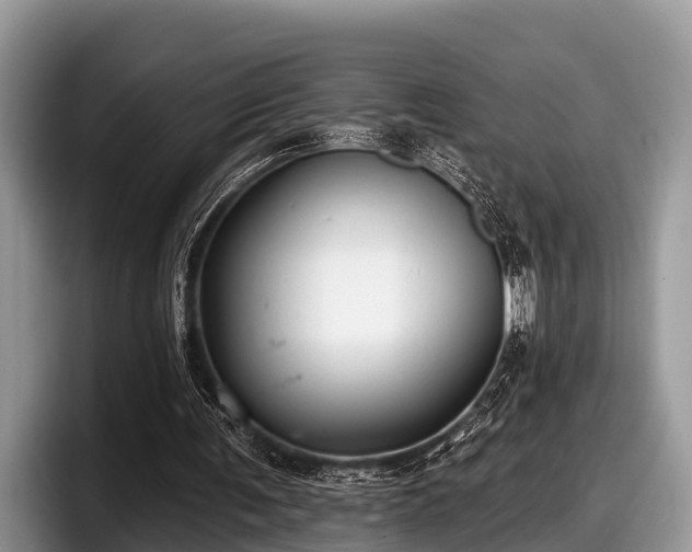 X0000097870291200803211320