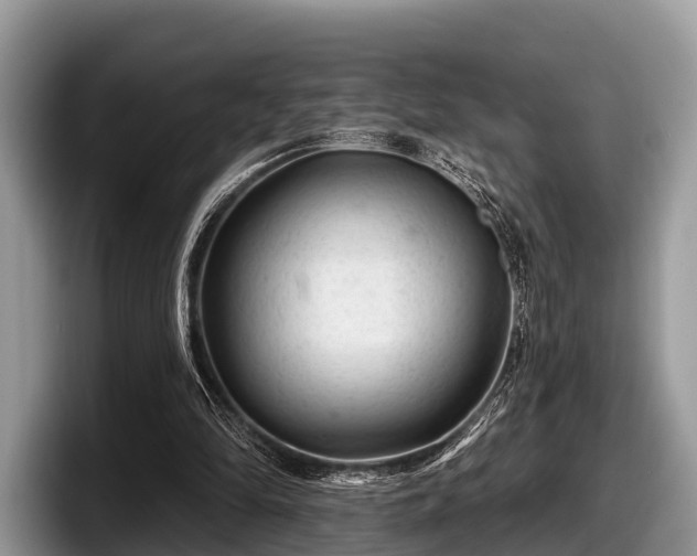X0000097870294200803211320
