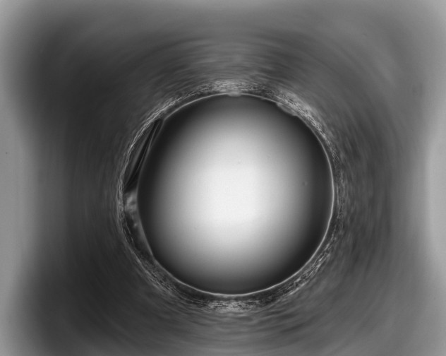 X0000097870297200803211320