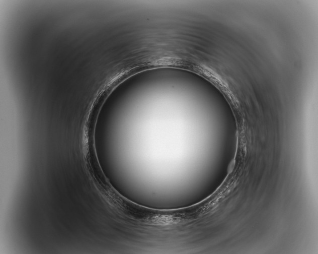 X0000097870298200803211320