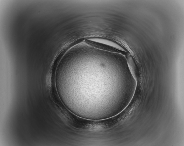 X0000097870299200803211319