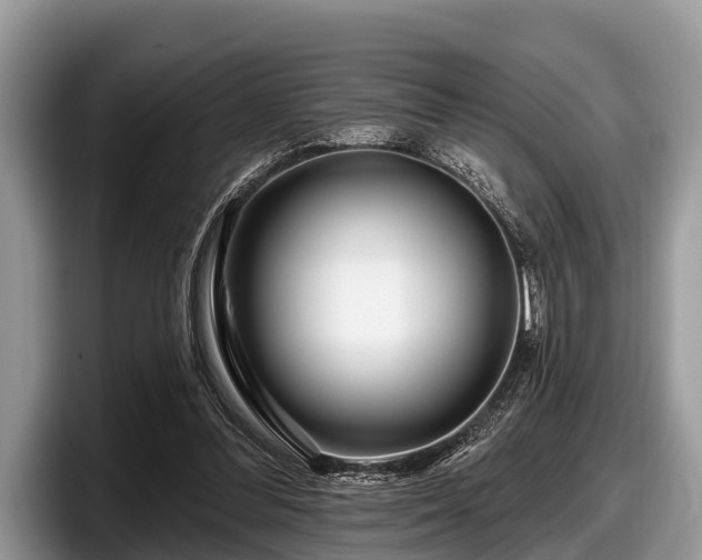 X0000097870300200803211319