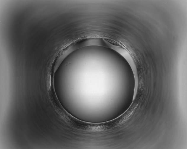 X0000097870301200803211319