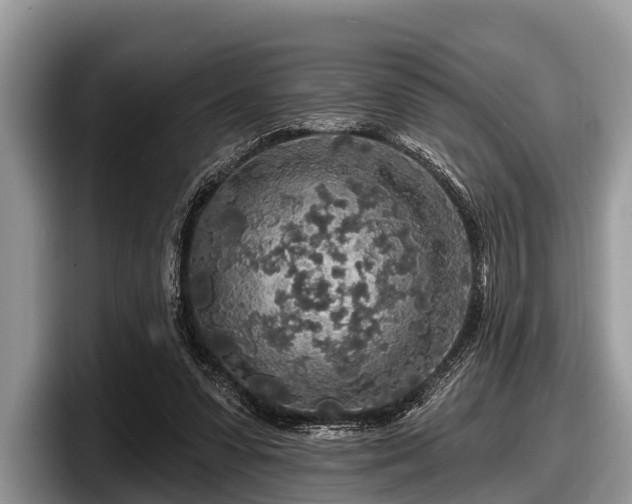 X0000097870303200803211319