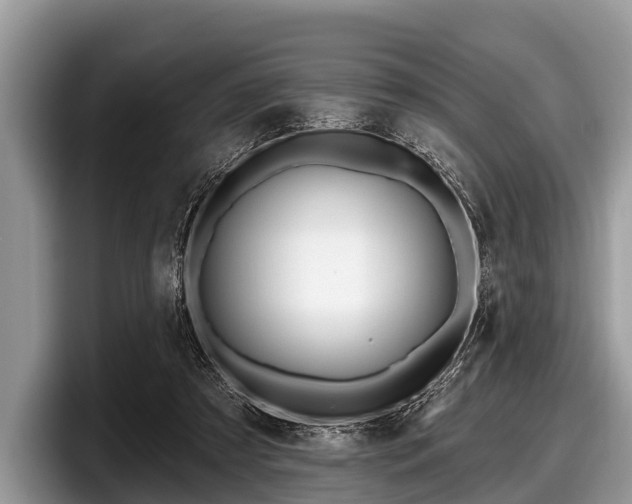 X0000097870305200803211319