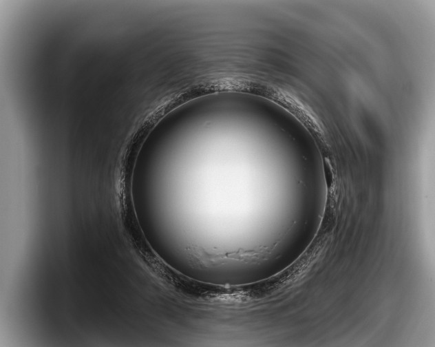 X0000097870306200803211319