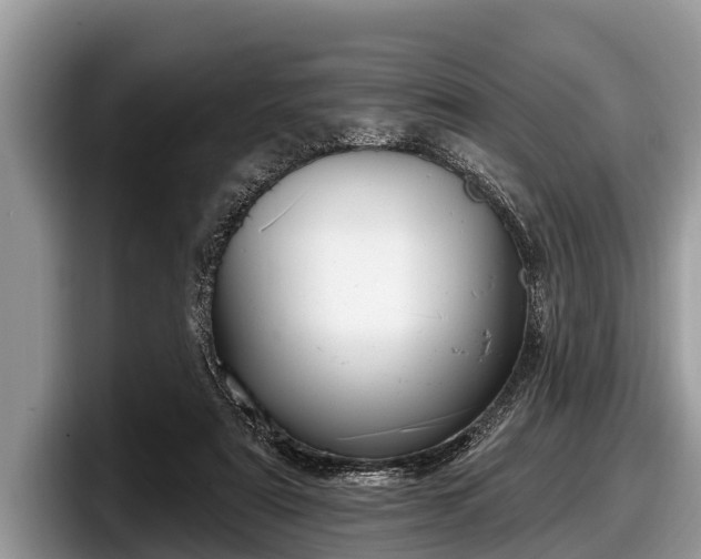 X0000097870307200803211319