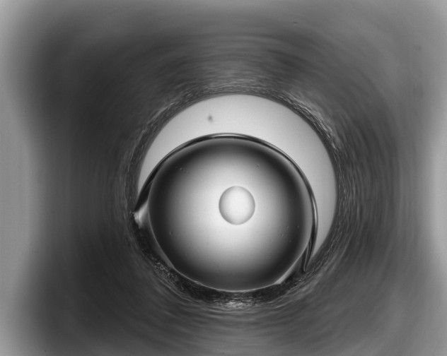 X0000097870308200803211319