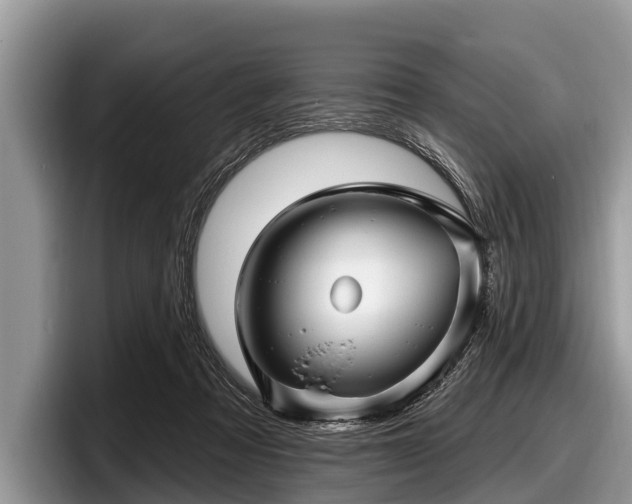 X0000097870313200803211319