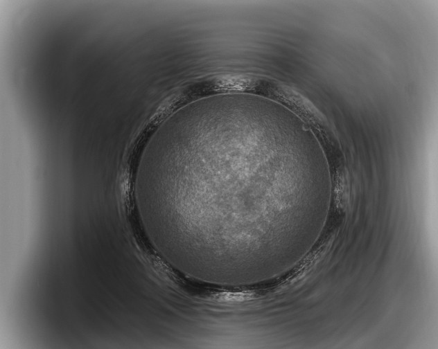 X0000097870314200803211319