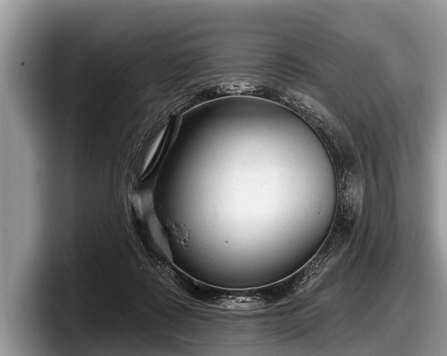 X0000097870315200803211319