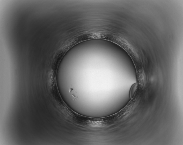 X0000097870318200803211319