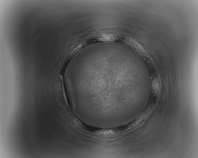 X0000097870322200803211319