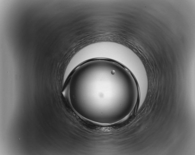 X0000097870324200803211319