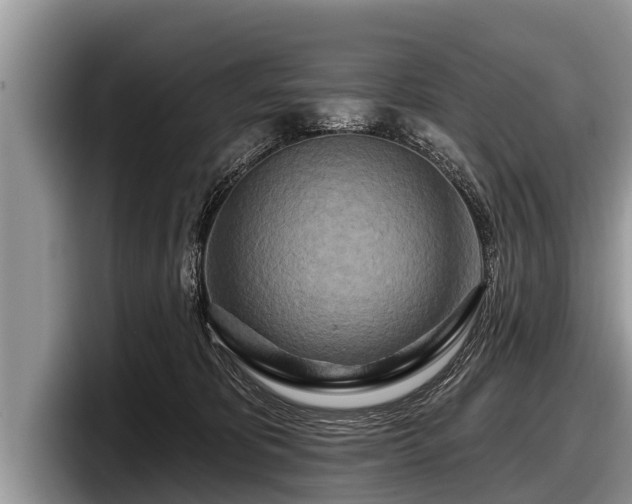 X0000097870325200803211319