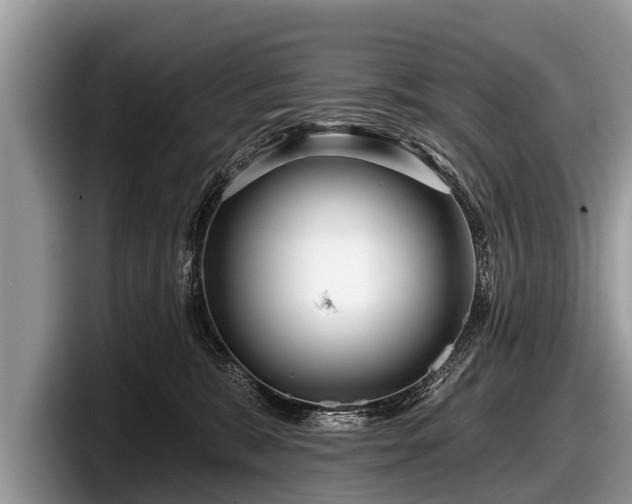 X0000097870327200803211319