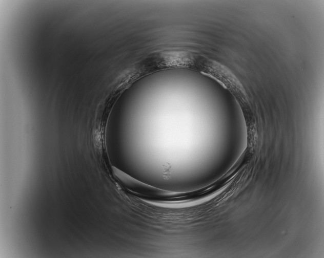 X0000097870329200803211319
