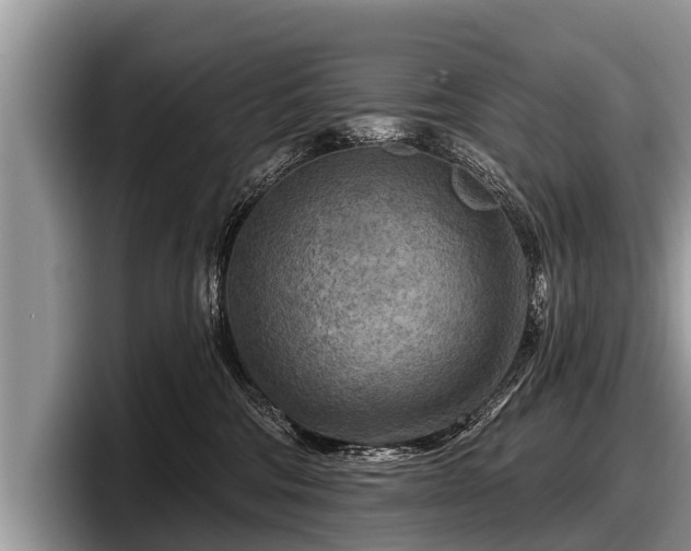 X0000097870330200803211319
