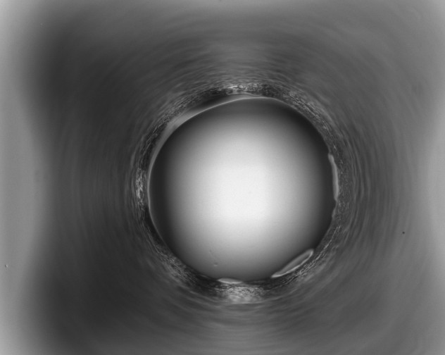 X0000097870336200803211319
