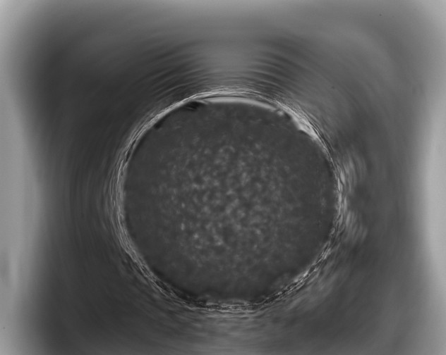 X0000097870337200803211318