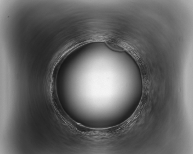 X0000097870338200803211318
