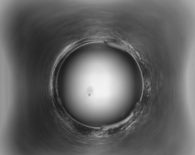 X0000097870340200803211318
