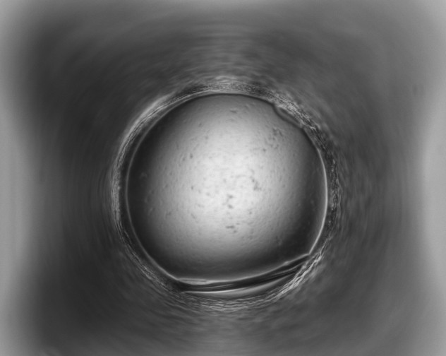 X0000097870341200803211318