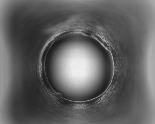 X0000097870342200803211318