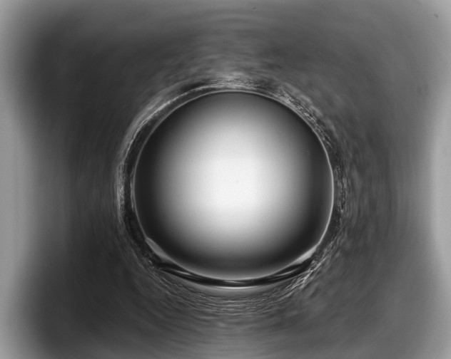 X0000097870344200803211318
