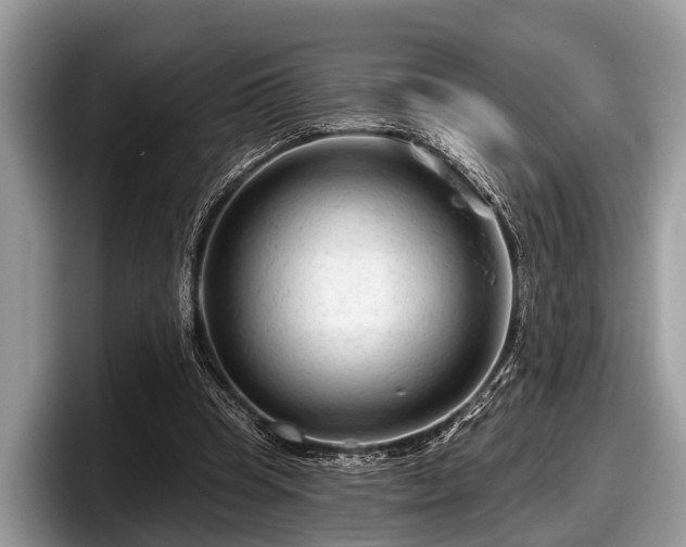 X0000097870345200803211318