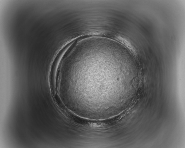 X0000097870346200803211319